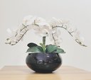 Ver imagem 4 de Arranjo Centro de Mesa 4 Flores Orquídeas Brancas e Vaso