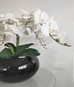 Ver imagem 3 de Arranjo Centro de Mesa 4 Flores Orquídeas Brancas e Vaso