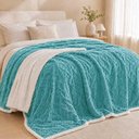 Ver imagem 4 de Cobertor Manta Santiago Casal 190x210cm Microfibra Dupla Face Sherpa Verde Tifanny Clara Luz Decora