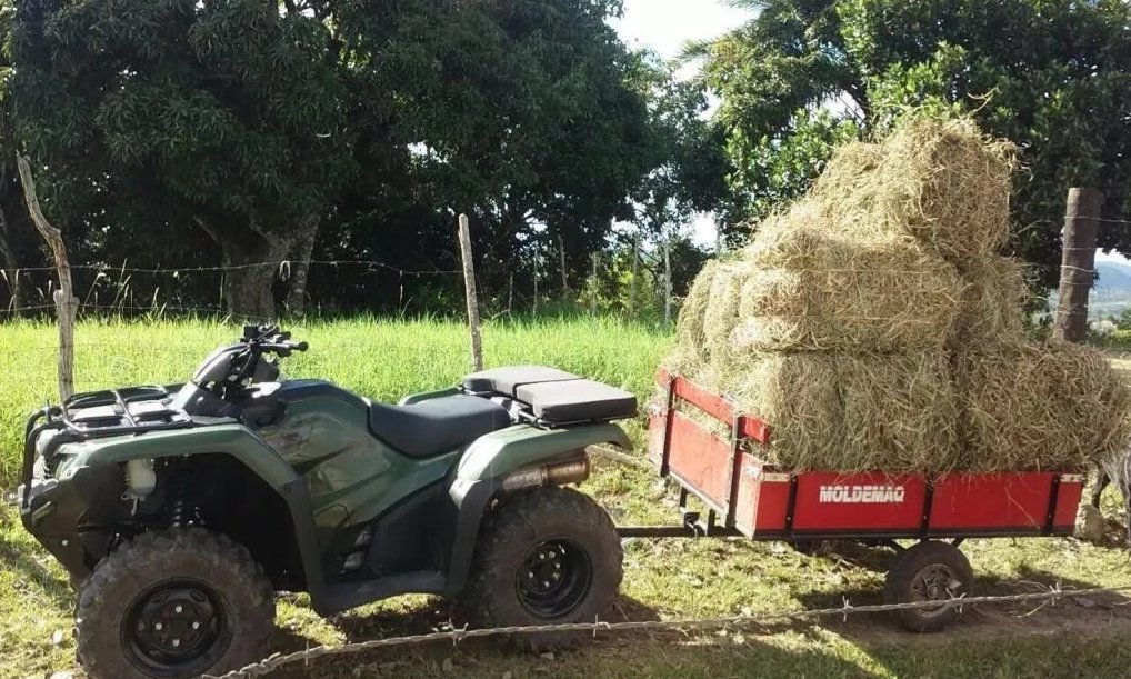 Carreta Reboque para Quadriciclo Moldemaq Cq0300 - 8