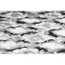 Ver imagem 4 de Colchão Solteiro Espuma D33 Supreme Pró Saúde Black (88x188x20) - Luckspuma