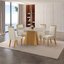 Castanho Cinamomo/Creme/Off White