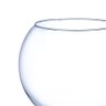 Vaso de Vidro Transparente Aquário N 4 17x21,5 Cm - 4