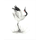 Ver imagem 1 de Japanese Cranes I Canaleta 60x80cm Preta