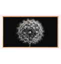Ver imagem 2 de Quadro Decorativo N°155 115x70cm - Panorâmico Botânico - Dente de Leão Preto e Branco - Rollflex