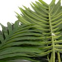 Ver imagem 2 de Planta Artificial Palmeira Areca Real Toque X15 Verde 114 Cm F04 - D'rossi Drossi