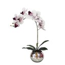 Ver imagem 4 de Arranjo De Orquídea Grande permanente De Mesa Sala Realistas