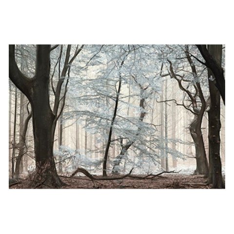 Inverno na Floresta Fine Art Papel Algodão 40x27cm sem Moldura