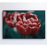 Quadro Tulipa Vermelha 60x40 Cm Vidro Impresso - 1