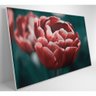 Quadro Tulipa Vermelha 60x40 Cm Vidro Impresso - 6