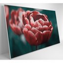 Ver imagem 6 de Quadro Tulipa Vermelha 60x40 Cm Vidro Impresso