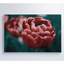 Ver imagem 2 de Quadro Tulipa Vermelha 60x40 Cm Vidro Impresso