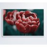 Quadro Tulipa Vermelha 60x40 Cm Vidro Impresso - 4