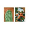 Dupla de Quadros Decorativos Cacto Plantas Natureza Paisagem Laranjas Com Vidro - 1