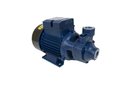 Ver imagem 3 de Motobomba Standard Periférica 1cv 60Hz Bivolt ICS-100AB Eletroplas