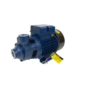 Motobomba Standard Periférica 1cv 60Hz Bivolt ICS-100AB Eletroplas