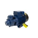 Ver imagem 1 de Motobomba Standard Periférica 1cv 60Hz Bivolt ICS-100AB Eletroplas