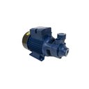 Ver imagem 2 de Motobomba Standard Periférica 1cv 60Hz Bivolt ICS-100AB Eletroplas