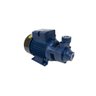 Motobomba Standard Periférica 1cv 60Hz Bivolt ICS-100AB Eletroplas - 2