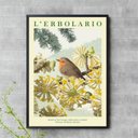 Ver imagem 1 de Quadro Poster Passarinho Flores Soft 45x34cm:moldura Branca