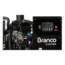 Ver imagem 4 de Gerador a Diesel Trifasico 19000e3 Descabinado - Branco
