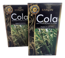 Ver imagem 3 de Kit 2 Colas Kantai em Pó para Papel de Parede - 180g Cada Incolor