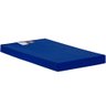 Colchão Solteiro Espuma D23 Hospitalar Impermeável Cristal Napa Azul (78x188x12) - Polar - 1