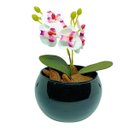 Ver imagem 1 de Vaso Decorativo Aquario Preto Esmaltado com Mini Orquídea - Branco com Rosa