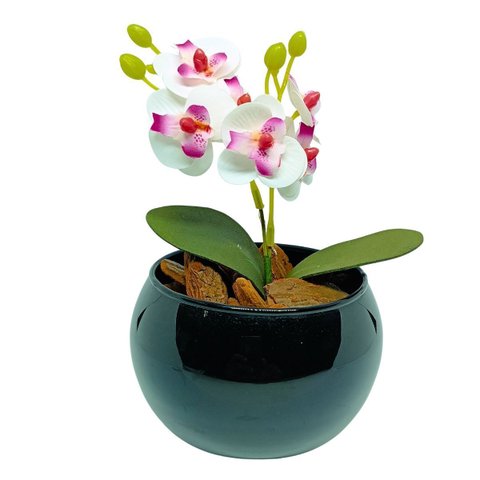 Vaso Decorativo Aquario Preto Esmaltado com Mini Orquídea - Branco com Rosa