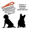 Corrente para Caes Cachorro Kit 2 Uni Pet 2.0mmx120cm Passeio Guia Caminhada Prende na Coleira Anima - 4