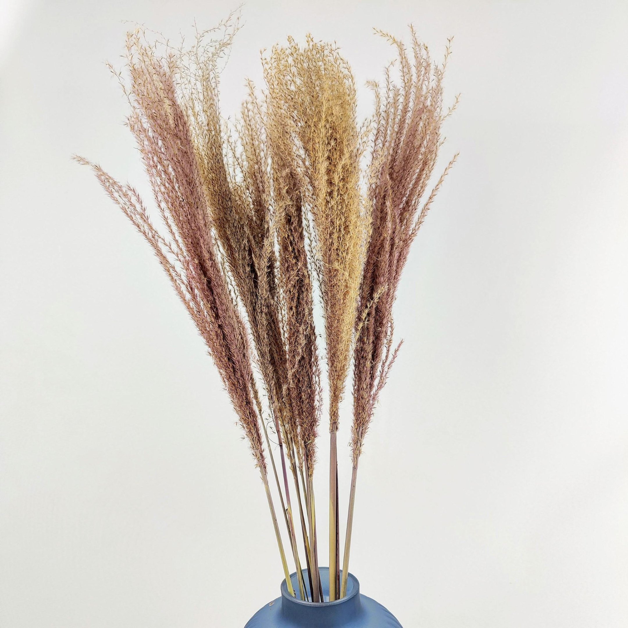 Capim Desidratado Marrom Natural 70x13cm Planta Artificial - 7