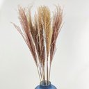 Ver imagem 7 de Capim Desidratado Marrom Natural 70x13cm Planta Artificial