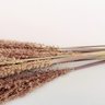 Capim Desidratado Marrom Natural 70x13cm Planta Artificial - 4