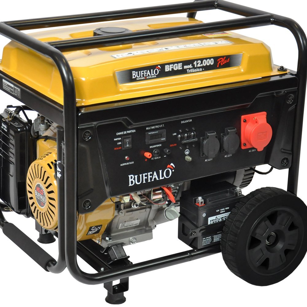 Gerador de Energia a Gasolina 12,5kva Plus 220v Trif. Buffalo - 6