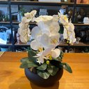 Ver imagem 2 de Arranjo Grande Centro de Mesa 3 Orquídeas Branca 3d Vaso Preto