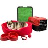 Kit Pet Pequeno Cama Europa com Sanitário Grama e Transporte - Vermelho - 1