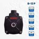 Ver imagem 4 de Bomba Monoestágio B-12 P 1/2 Cv Rotor 112mm Monofásico Motor Thebe IP55 127/220-254V Preto Ebara