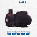 Ver imagem 3 de Bomba Monoestágio B-12 P 1/2 Cv Rotor 112mm Monofásico Motor Thebe IP55 127/220-254V Preto Ebara