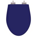 Ver imagem 1 de Assento Sanitario Poliester com Amortecedor Absolute Azul Cobalto para Vaso Ideal Standard