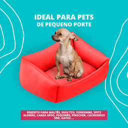Kit Pet Com Cama Cachorro Gato M 57X37 Deus Deu Cachorros - 2