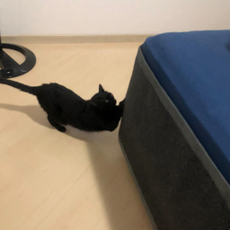 Saia Cama Box Cinza Claro - 5