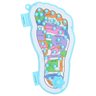 Massageador de Pes Acupressao Reflexologia Pontos de Pressao Acupuntura Alivia Dores Fascite Plantar - 1