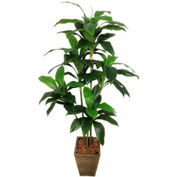 PLANTA ARTIFICIAL ÁRVORE DRACENA LUXO 158CM VERDE TOQUE REAL - 1