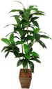 Ver imagem 1 de PLANTA ARTIFICIAL ÁRVORE DRACENA LUXO 158CM VERDE TOQUE REAL