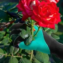 Ver imagem 3 de Luvas Jardinagem Plantar Cavar Garras Limpeza Jardim Horta
