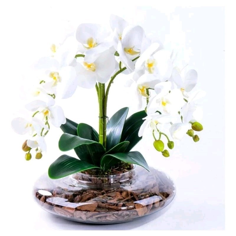 Arranjo com 04 Orquídeas Silicone Brancas Toque Real em Vaso Terrário Redondo - 2