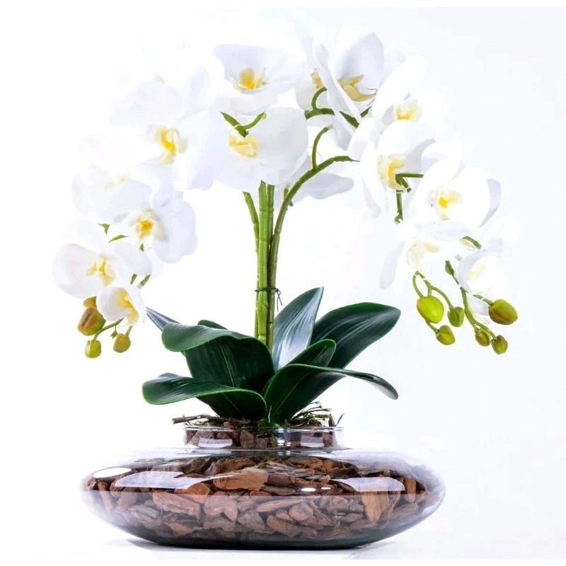 Arranjo com 04 Orquídeas Silicone Brancas Toque Real em Vaso Terrário Redondo