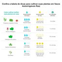 Ver imagem 4 de Vaso Raiz Auto Irrigável 12x11cm N2 Autoirrigável Pequeno Planta Flores:Preto