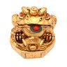 Sapo da Riqueza Feng Shui Chan Chu Sorte Fortuna Poder 4cm - 2