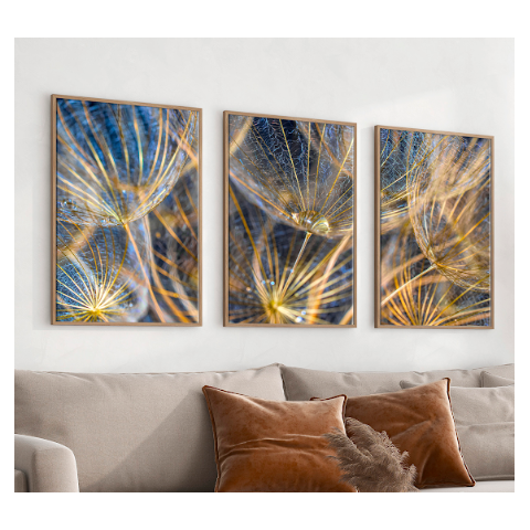 Trio Quadro Decorativo Dente de Leão